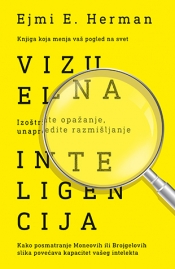 vizuelna inteligencija laguna knjige