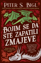 bojim se da ste zapatili zmajeve laguna knjige