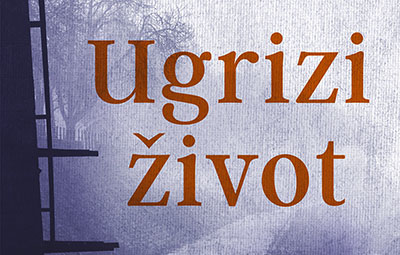 ljuti požar godina radmile lazić laguna knjige