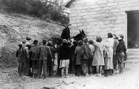 tridesetih godina xx veka, američke bibliotekarke su na konjima vršile isporuku knjiga laguna knjige