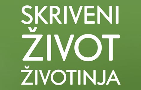 prikaz knjige skriveni život životinja  laguna knjige