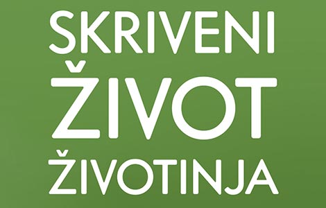 o lažljivim senicama i saosećajnim miševima laguna knjige