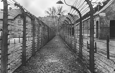 arbeit macht frei laguna knjige