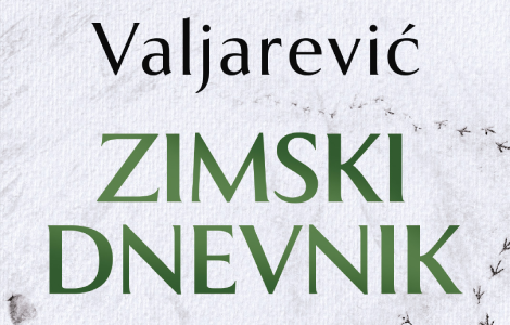 novo izdanje kultnog zimskog dnevnika srđana valjarevića u izdanju lagune laguna knjige
