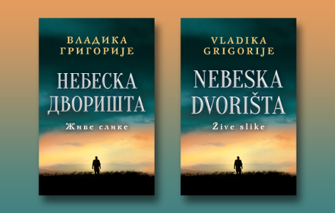 prikaz romana nebeska dvorišta ne ostaviti ostavljene laguna knjige