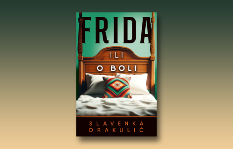 prikaz romana frida ili o boli vlastita iskustva za tuđu biografiju laguna knjige