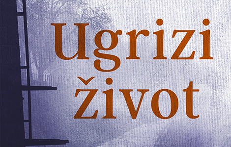 beskompromisna proza radmile lazić u knjizi ugrizi život  laguna knjige